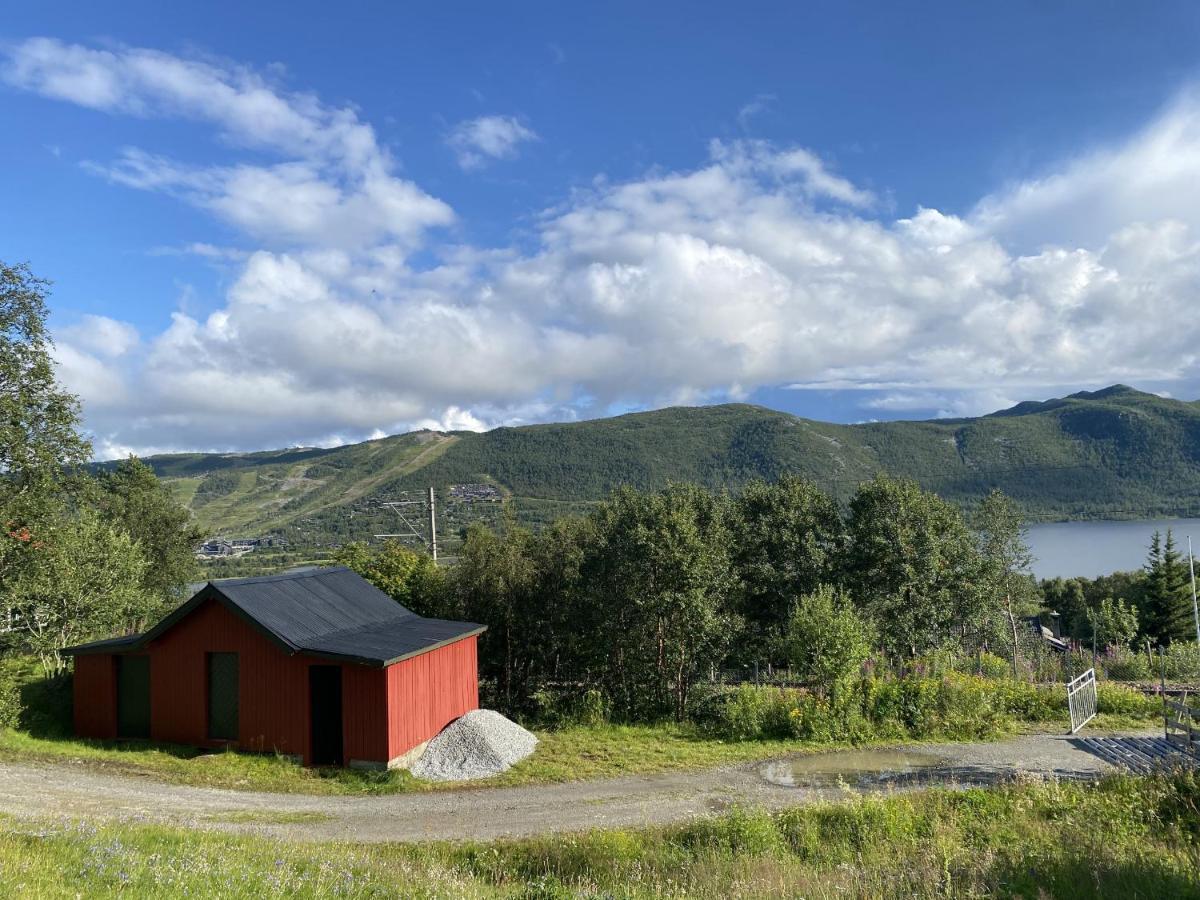 Cottage Yard - Cozy Cabin Geilo Ngoại thất bức ảnh